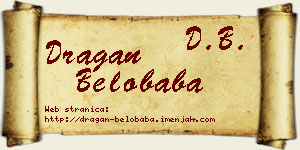 Dragan Belobaba vizit kartica